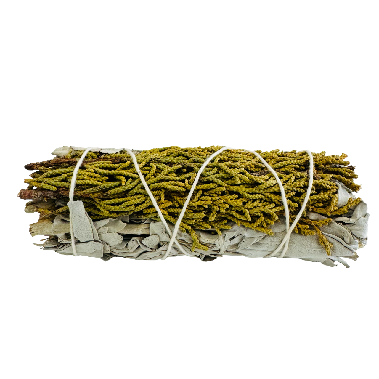 Cedar Sage 4 Inch -(100 Pieces)