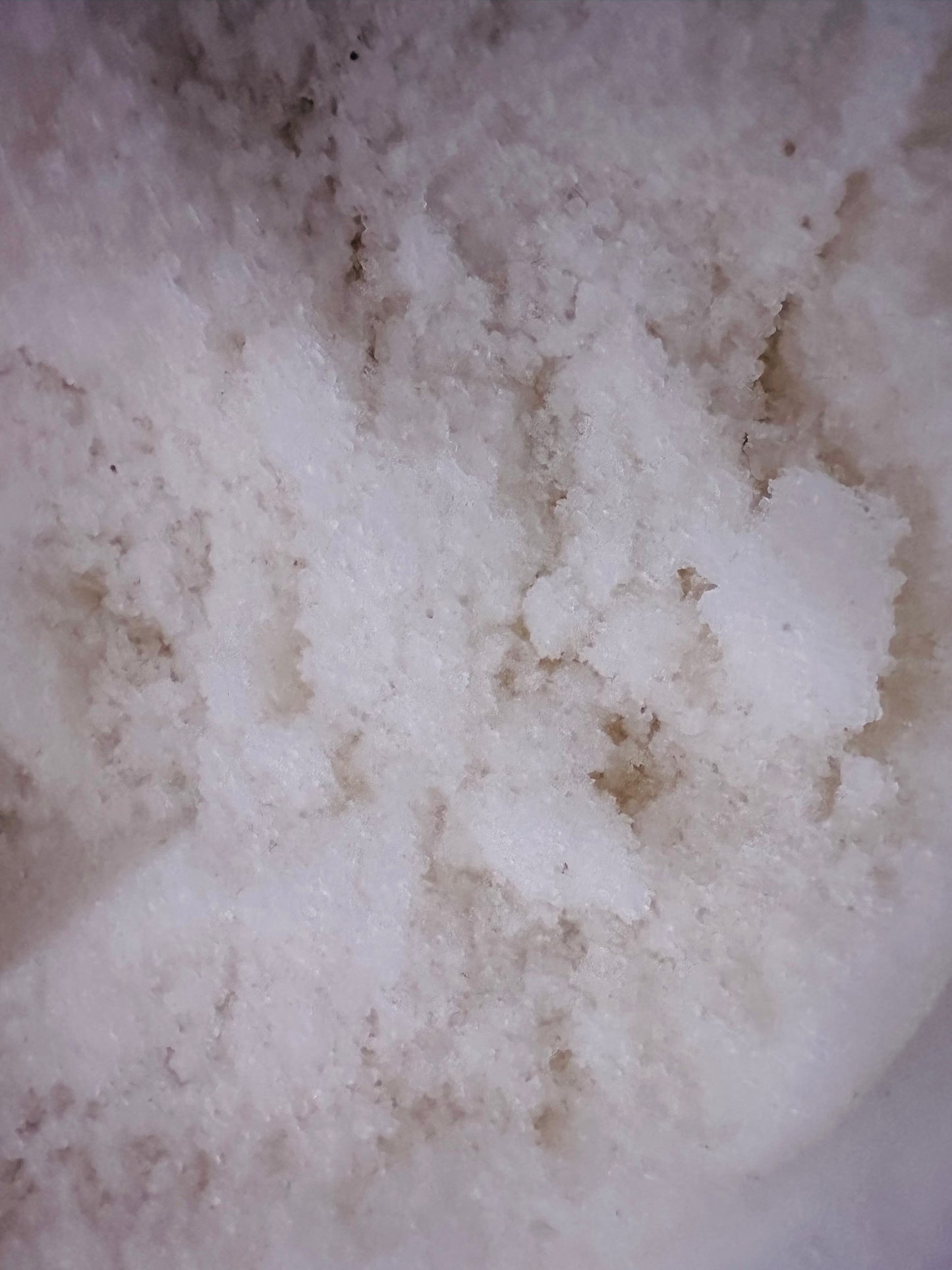 Dead Sea Salt -Fine Size Bulk -(10 Pounds)