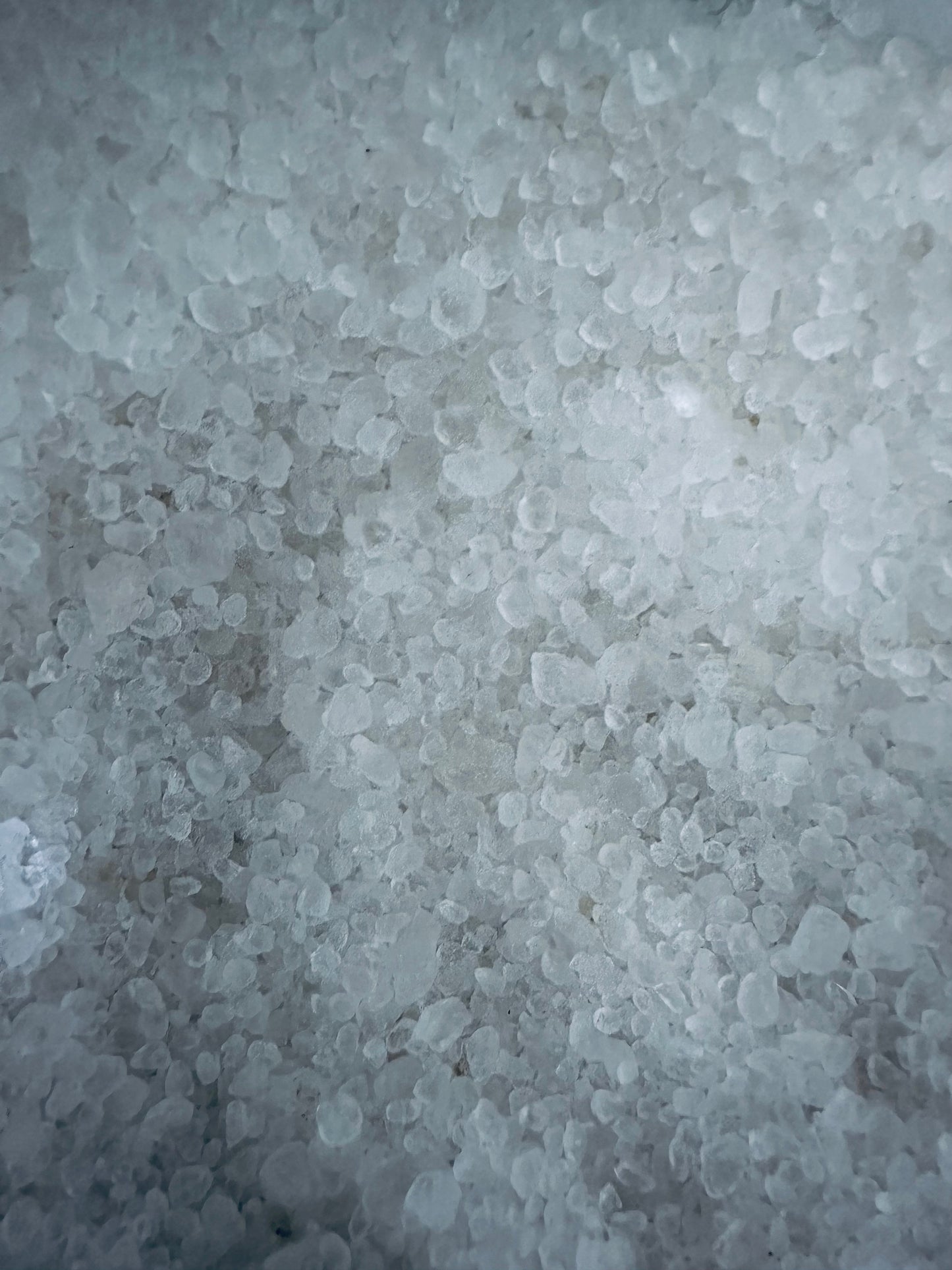 Dead Sea Salt -Coarse Size Bulk -(10 Pounds)