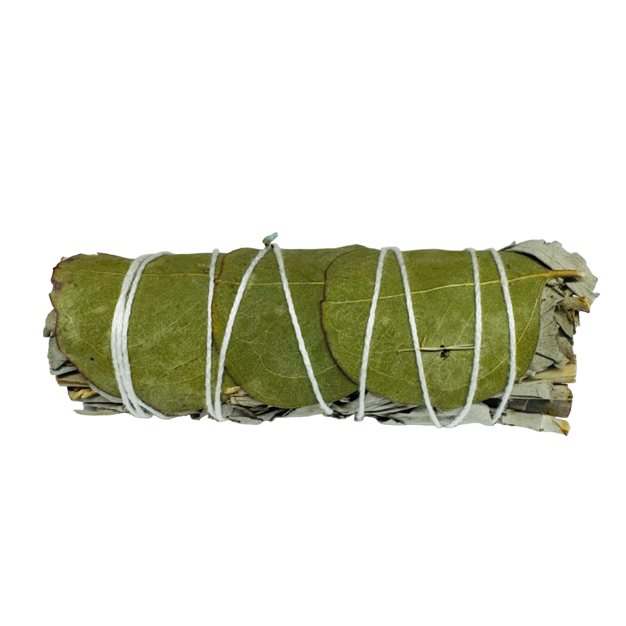 Eucalyptus White Sage 4 Inch -(100 Pieces)