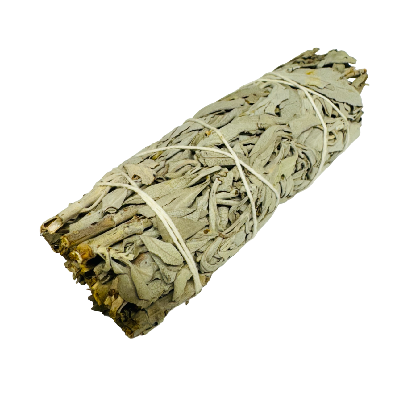 White Sage 5-6 Inch -(500 Pieces)