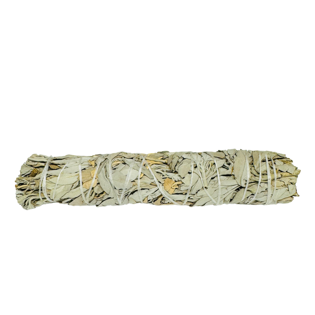 White Sage 8-9 Inch -(500 Pieces)