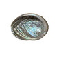Abalone Shell- (Small Size 12 Pieces) @ $1.89/each