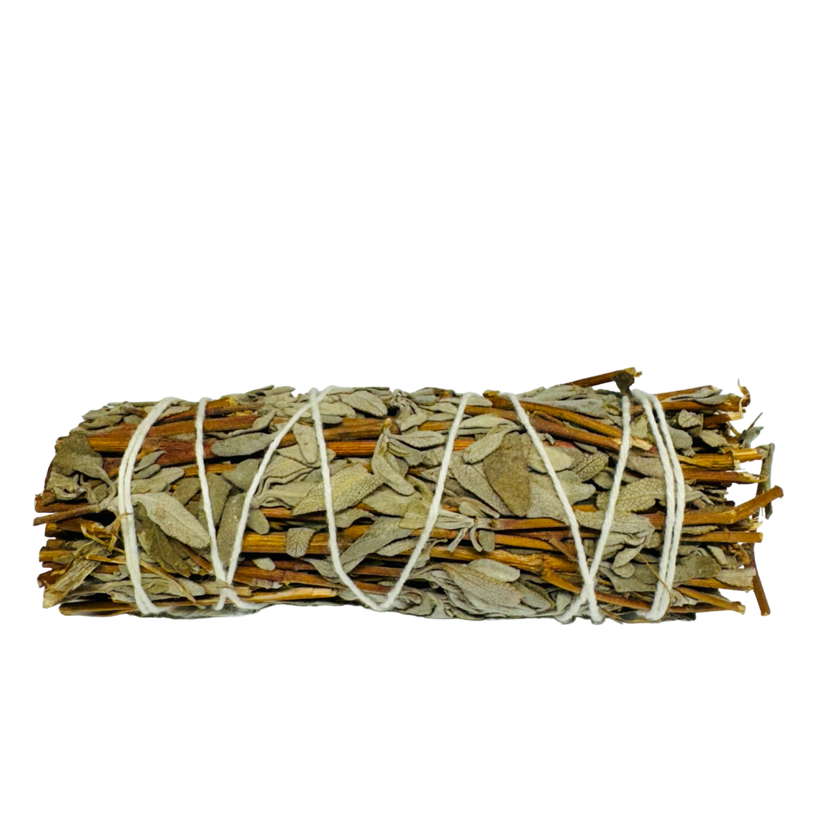 Black Sage 4 Inch -(100 Pieces)