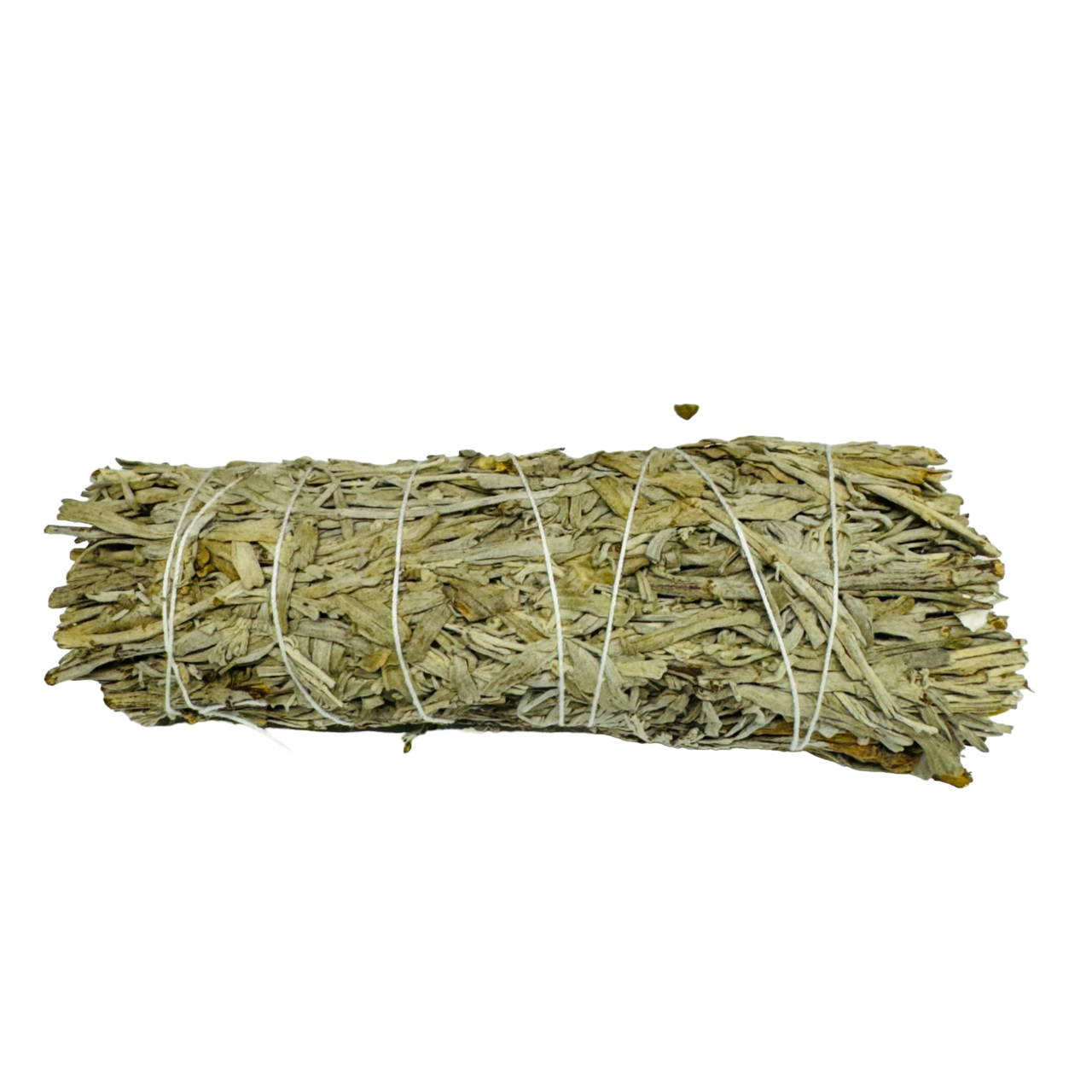 Blue Sage 4 Inch -(100 Pieces)