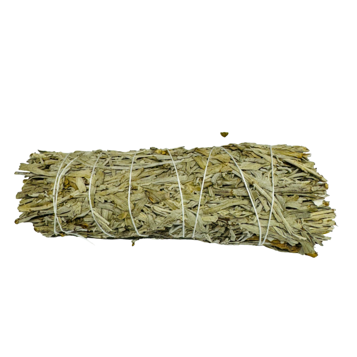 Blue Sage 4 Inch -(12 Pieces)