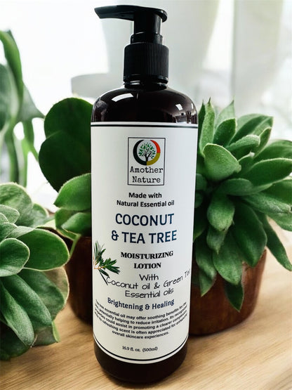 Coconut & Tea Tree -Body Lotion Infuse with Green Tea Essential oil -(6 Pieces) @ $4.75/each