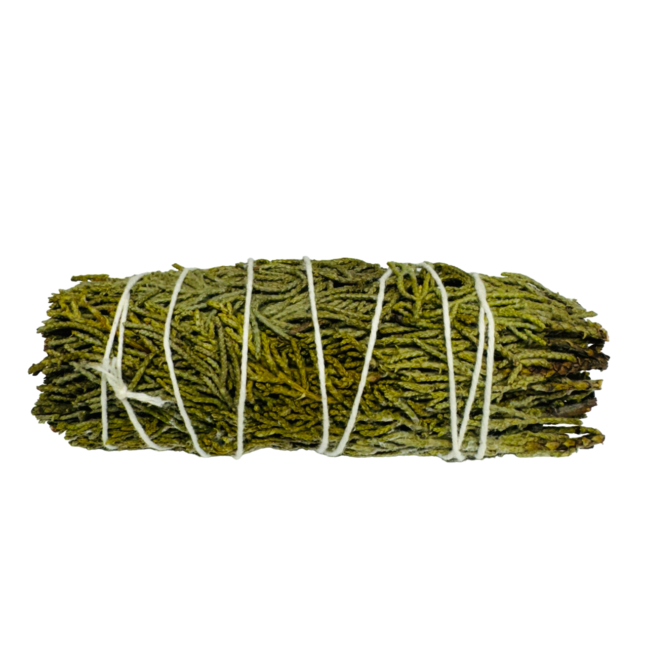 Cedar Sage 4 Inch -(12 Pieces)