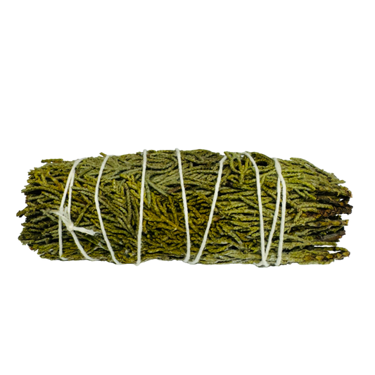 Cedar Sage 4 Inch -(12 Pieces)