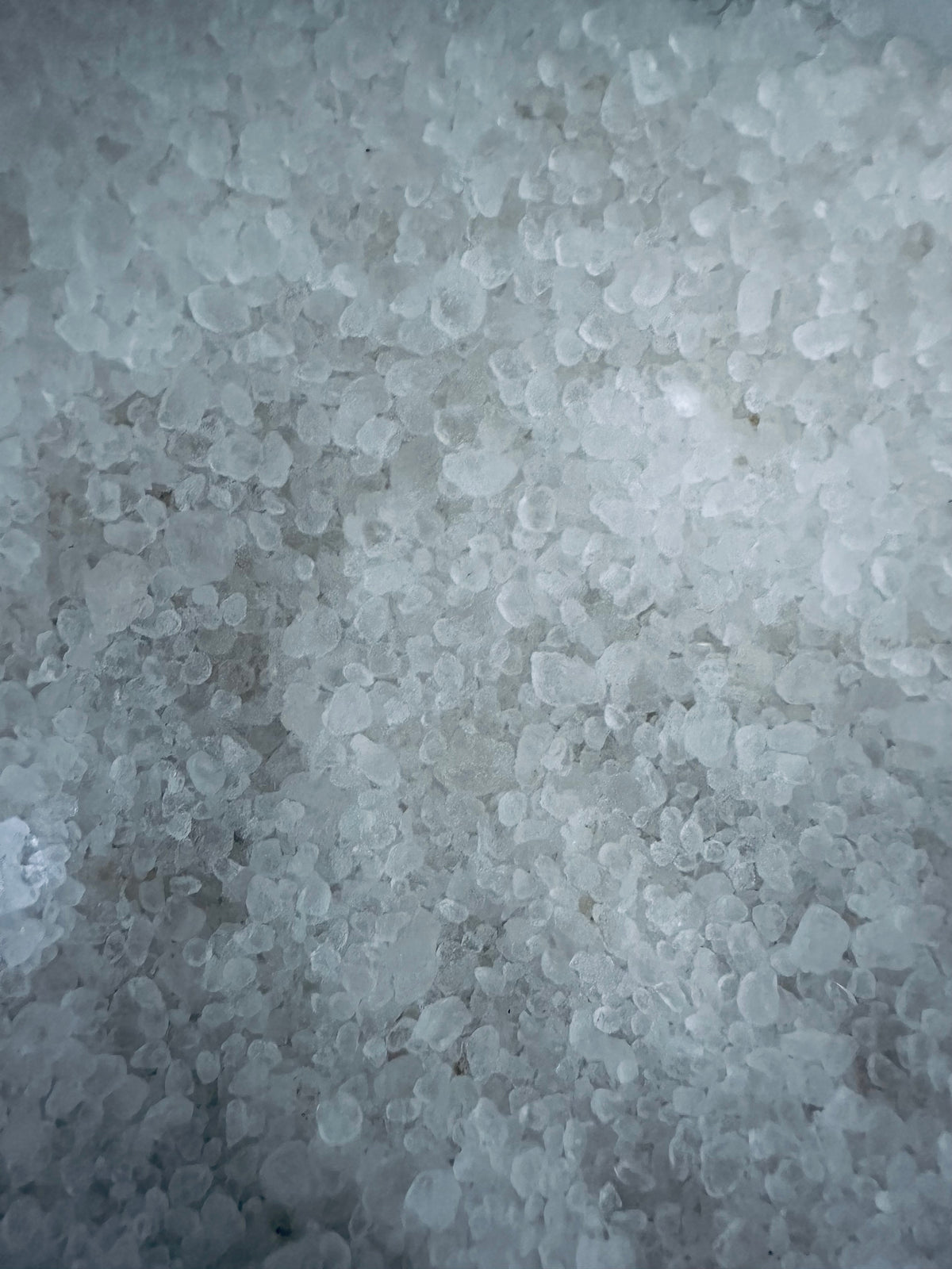 Dead Sea Salt -Coarse Size Bulk -(10 Pounds)