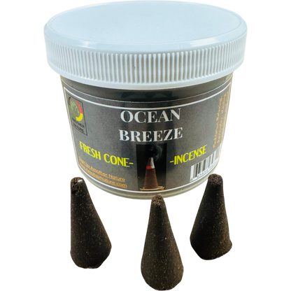 Ocean Breeze Cone Incense (4 Jars) @ $2.99/each