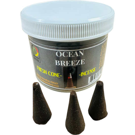 Ocean Breeze Cone Incense (4 Jars) @ $2.99/each
