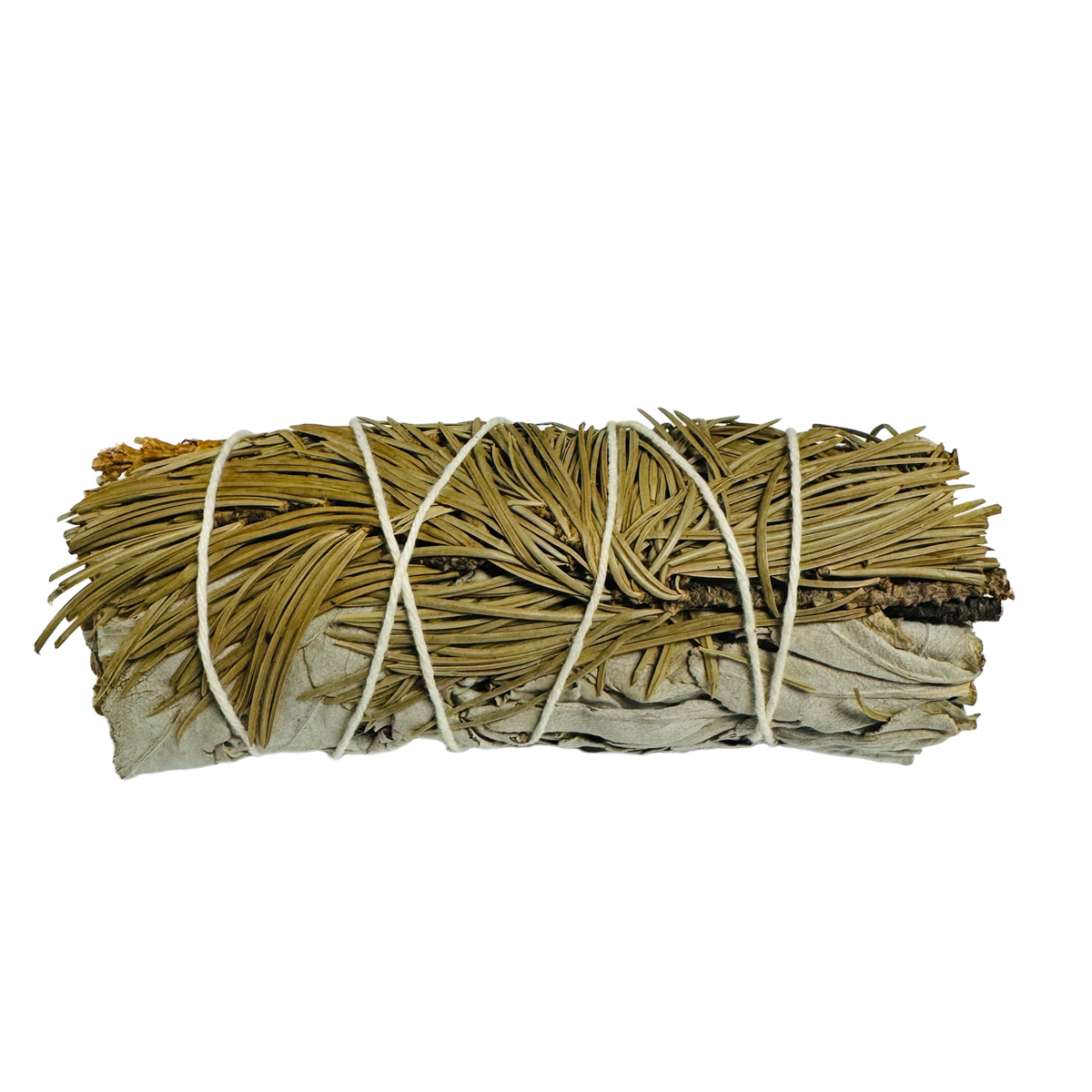 Pine White Sage 4 Inch -(100 Pieces)