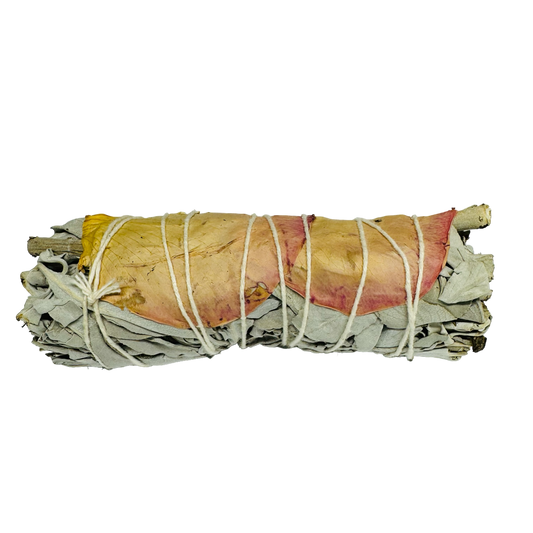 Pink Petal White Sage 4 Inch -(100 Pieces)