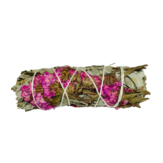 Pink Sinuata White Sage 4 Inch -(12 Pieces)