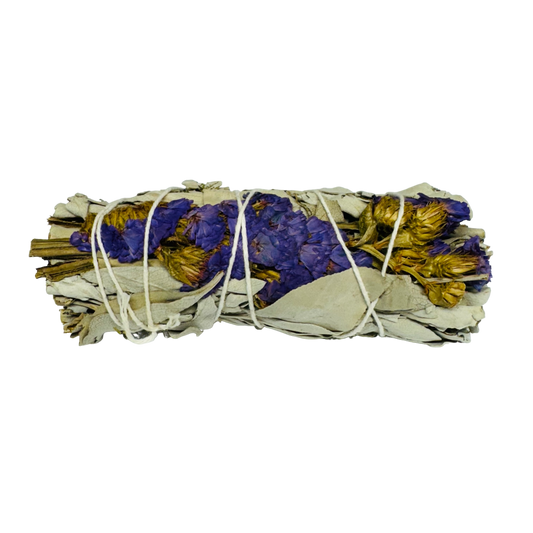 Purple Sinuata White Sage 4 Inch -(100 Pieces)