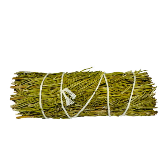 Rosemary Sage 4 Inch -(100 Pieces)