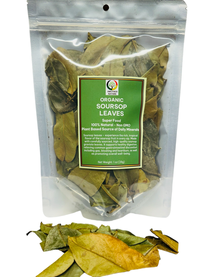 Organic Soursop Leaves - 4 Bags @ $5.50/each