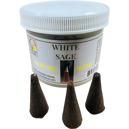 White Sage Cone Incense (4 Jars) @ $2.99/each