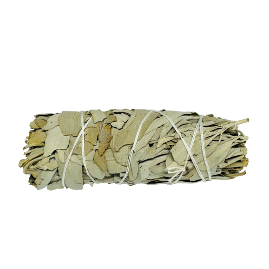White Sage 4 Inch -(100 Pieces)