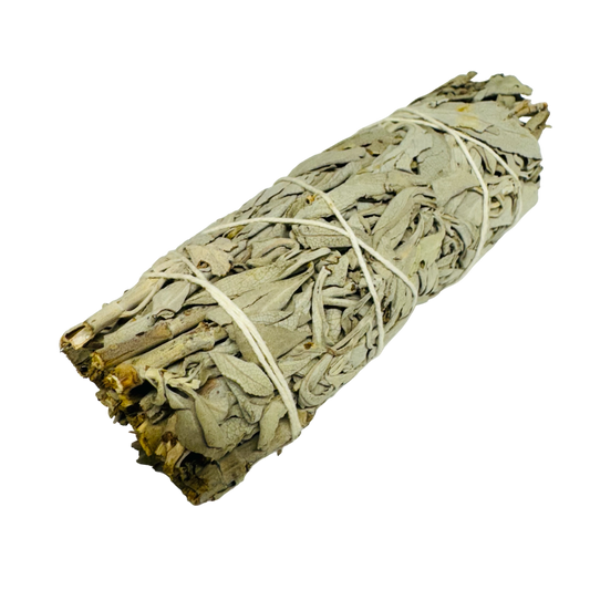 White Sage 5-6 Inch -(100 Pieces)