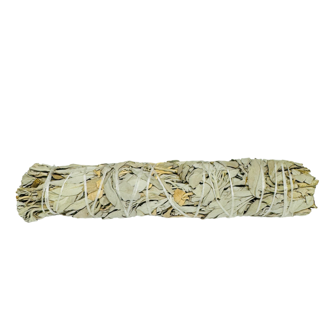 White Sage 8-9 Inch -(500 Pieces)