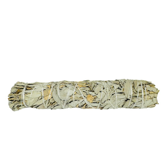 White Sage 8-9 Inch -(500 Pieces)