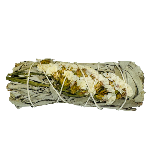 White Sinuata White Sage 4 Inch -(100 Pieces)