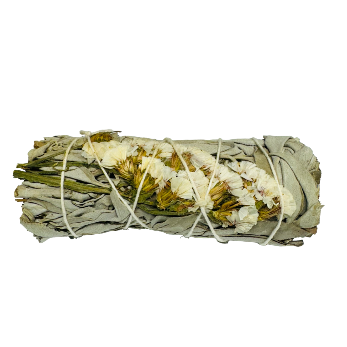 White Sinuata White Sage 4 Inch -(12 Pieces)