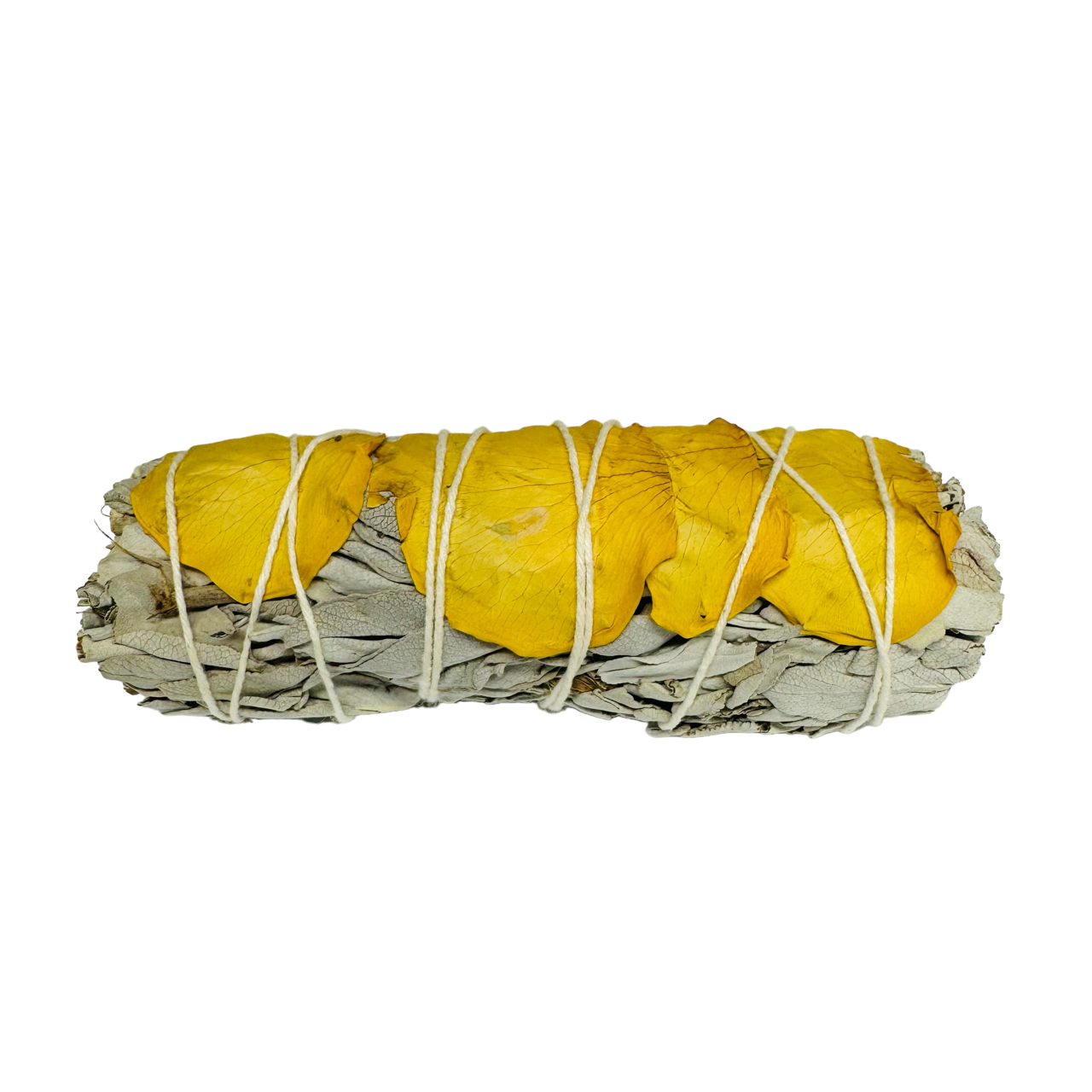 Yellow Petal White Sage 4 Inch -(100 Pieces)