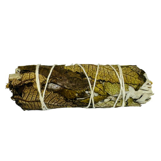 Yerba Santa White Sage 4 Inch -(100 Pieces)