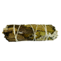 Yerba Santa White Sage 4 Inch -(100 Pieces)